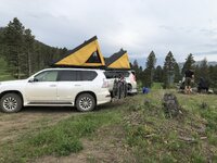 IMG_2906.jpeg