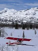 IMG_7943.jpeg