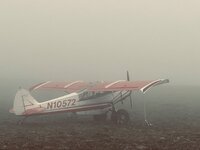IMG_6913.jpeg