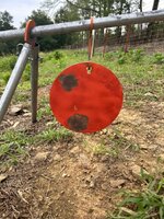 IMG_5907.jpeg