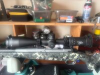 IMG_5348.jpeg
