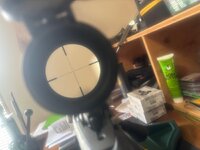 IMG_5350.jpeg