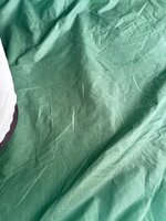 IMG_3380.jpeg