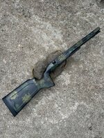 IMG_5922.jpeg