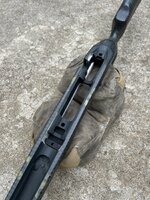 IMG_5925.jpeg