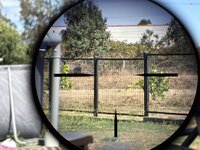 IMG_8318.jpeg