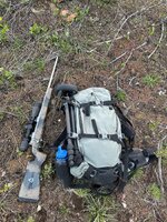 IMG_1335.jpeg