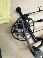 IMG_7979.jpeg