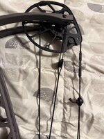 IMG_1409.jpeg