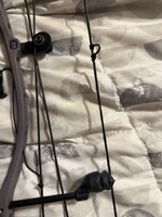 IMG_1411.jpeg