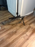 IMG_4603.jpeg