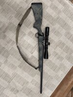 IMG_3722.jpeg