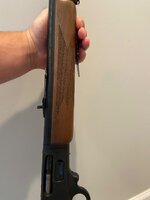 IMG_5839.jpeg