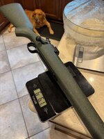 IMG_9542.jpeg