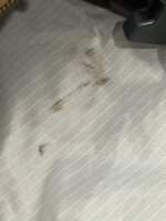 IMG_2859.jpeg