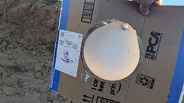 PXL_20260619_122521129.MP.jpg