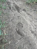 IMG_3958.jpeg