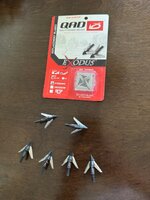 IMG_3579.jpeg