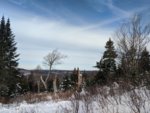 IMG_20191118_094708.jpg