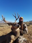 CO Mule Deer.jpeg
