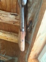 IMG_2523.jpeg