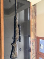 IMG_1495.jpeg