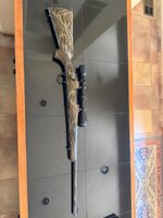 IMG_1494.jpeg