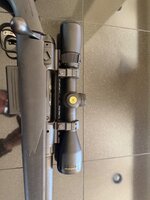 IMG_1486.jpeg