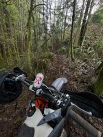 IMG_6814.jpeg