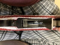 IMG_2396.jpeg
