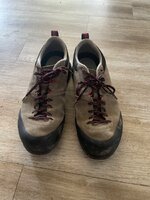 IMG_9956.jpeg