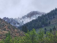 20260628_075451.jpg