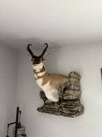 IMG_1533.JPEG