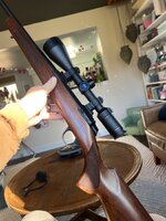 IMG_5179.jpeg