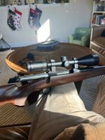 IMG_5181.jpeg
