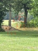 IMG_5915.jpeg