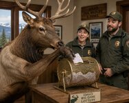 elk draw.jpg