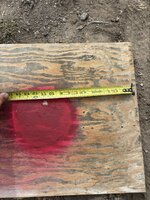 IMG_1569.jpeg