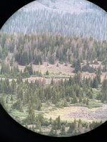IMG_7347.jpeg