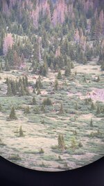 IMG_7328.jpeg