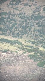 IMG_7346.jpeg