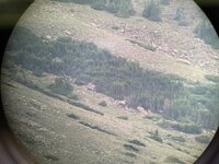 IMG_7340.jpeg