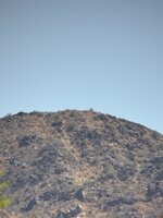 IMG_0159.jpeg