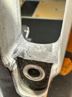 IMG_8830.jpeg