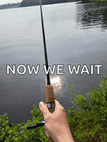 1782690212603.png