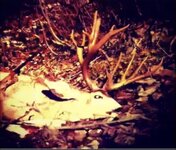 IMG_1810.jpeg