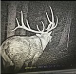 IMG_1811.jpeg