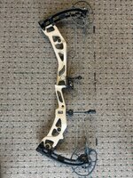 IMG_2860.jpeg