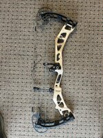 IMG_2861.jpeg