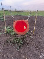 IMG_7004.jpeg
